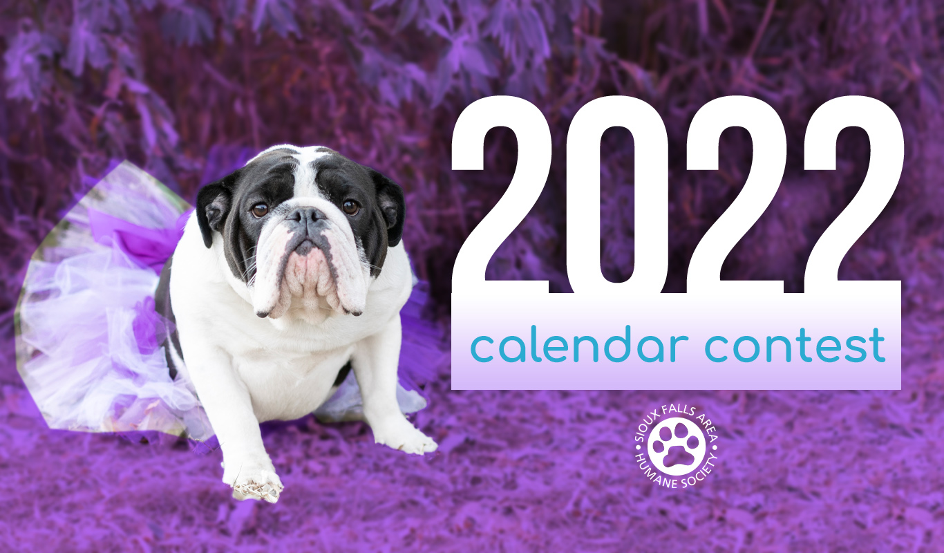 Dog Calendar Contest 2022 2022 Pet Photo Calendar Contest | Sioux Falls Area Humane Society